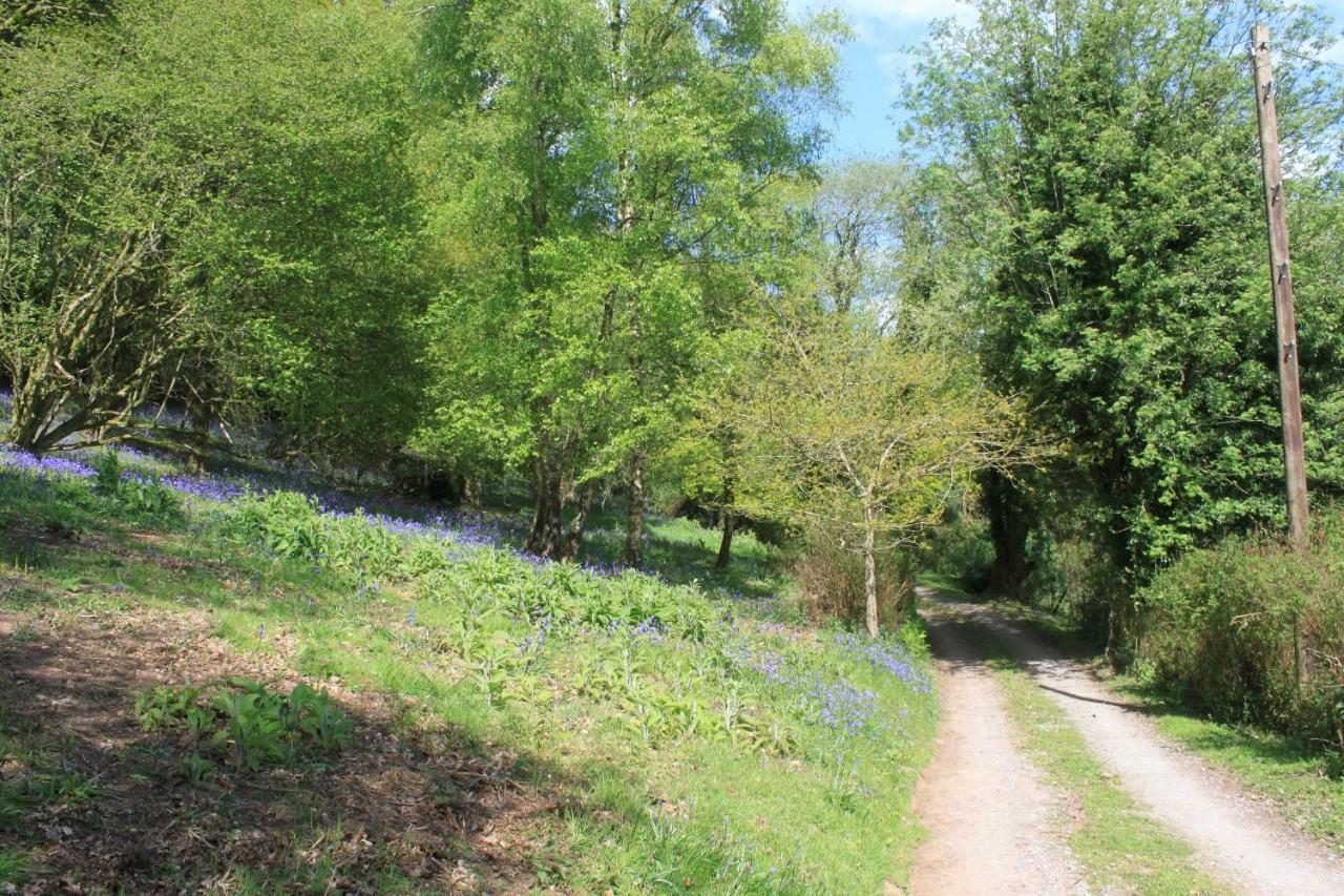 Church Hill Farm مونموث المظهر الخارجي الصورة